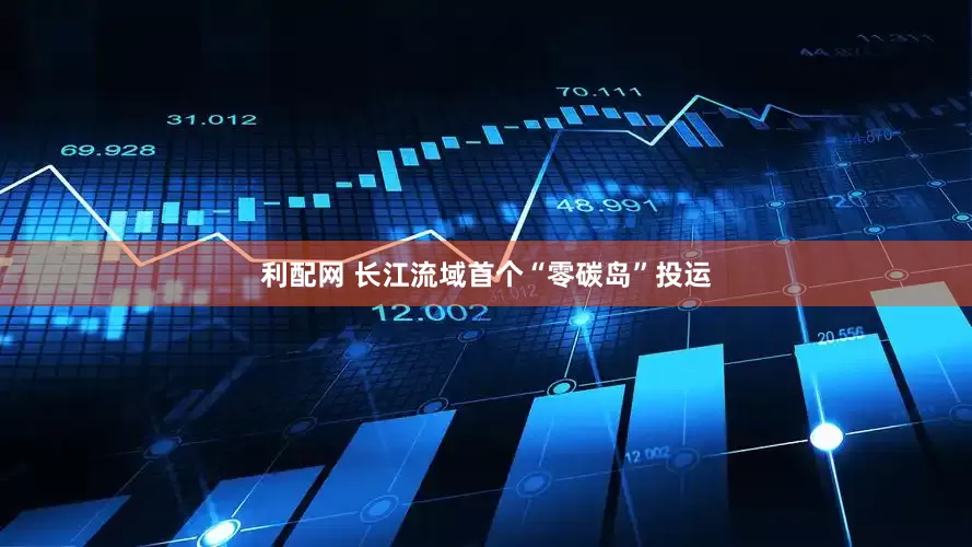 利配网 长江流域首个“零碳岛”投运