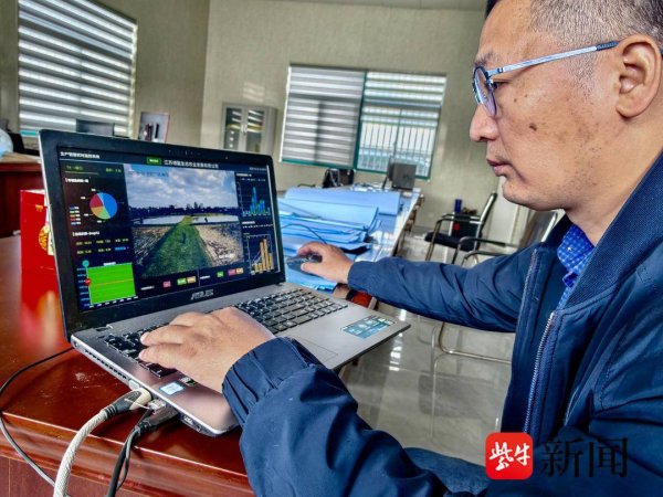 鑫赢智投 “最大四大家鱼养殖基地”名不虚传！“智慧水产”打造乡村振兴样板